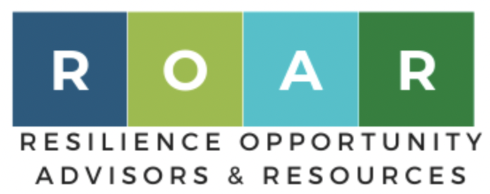 ROAR Partners logo